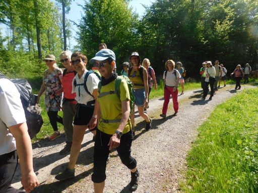 Fastenwandern das ist den inneren Arzt anregen und dabei Spaß haben Fastenwandern tut dem Körper gut